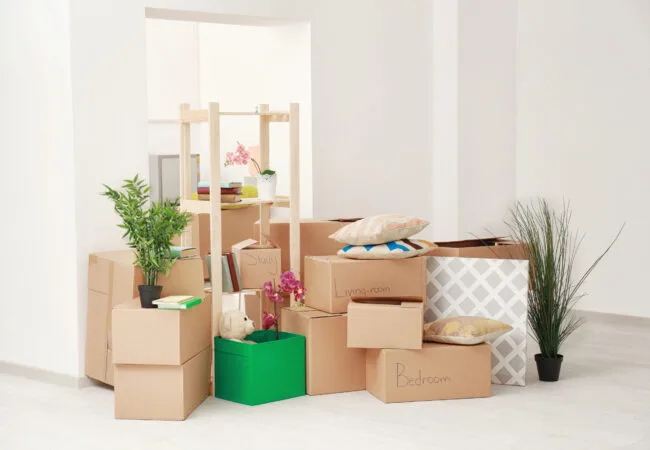 Label Storage Boxes