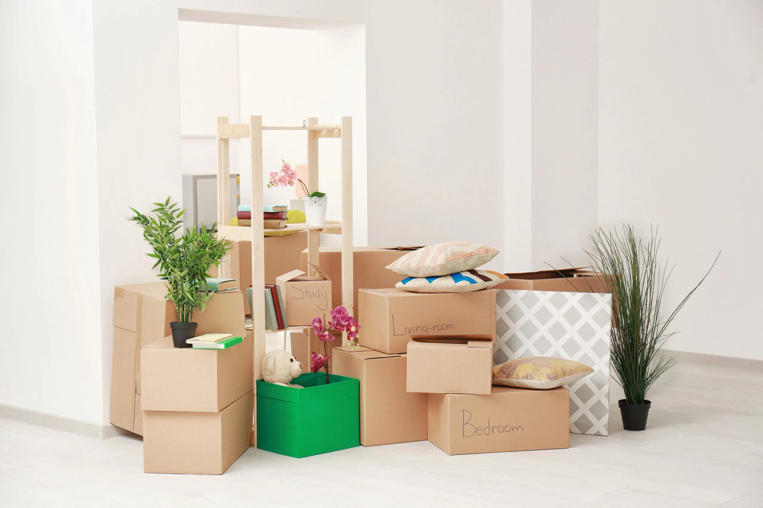 Label Storage Boxes